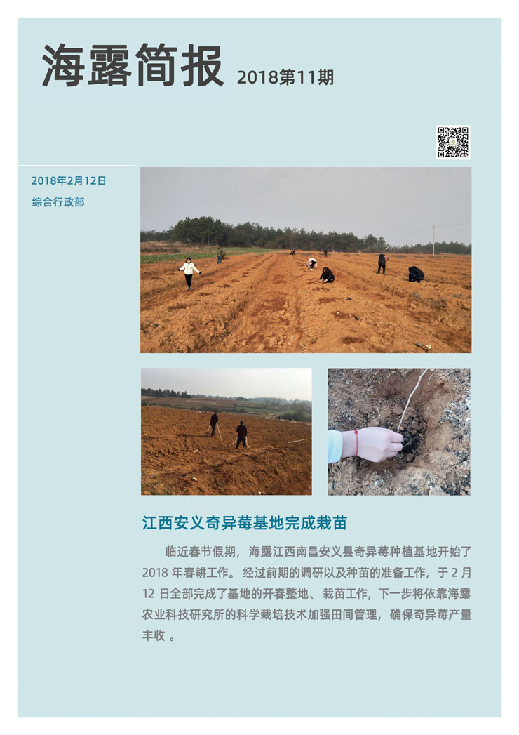 XPJ(中国大陆)有限公司官网