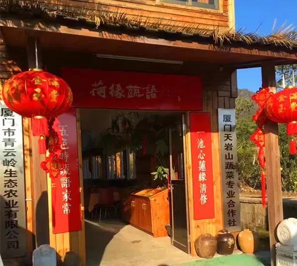 XPJ(中国大陆)有限公司官网