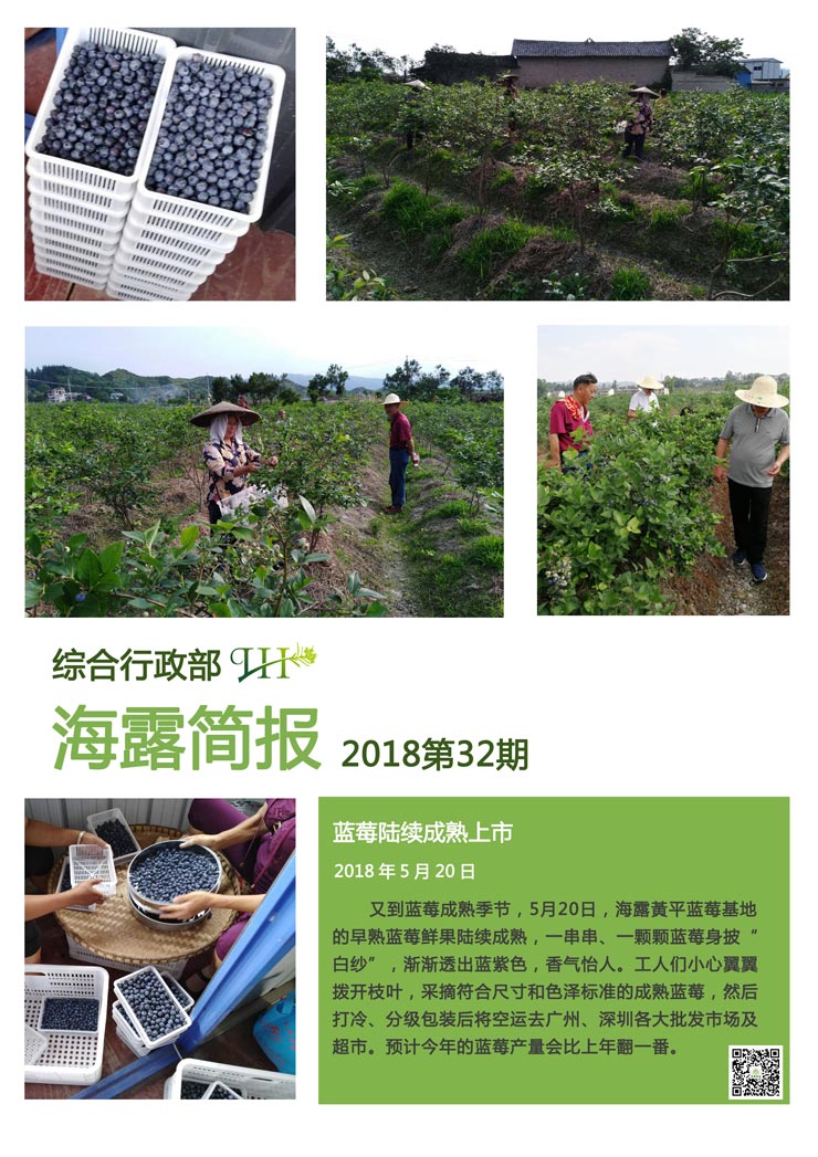 XPJ(中国大陆)有限公司官网