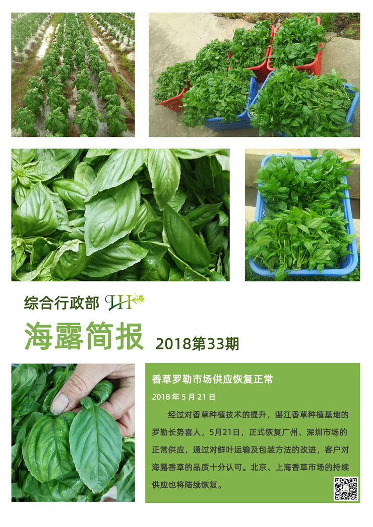 XPJ(中国大陆)有限公司官网