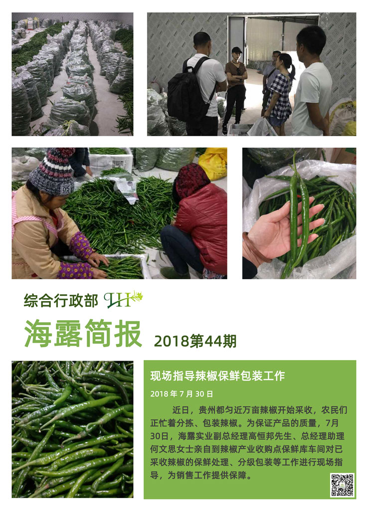 XPJ(中国大陆)有限公司官网