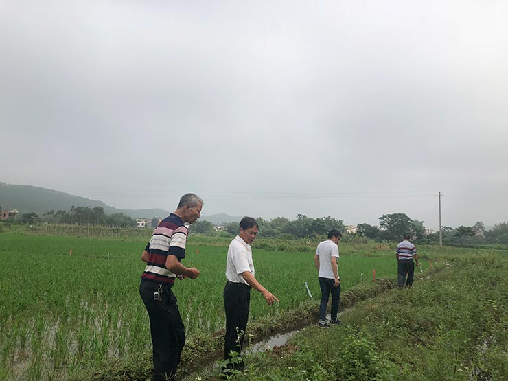 XPJ(中国大陆)有限公司官网