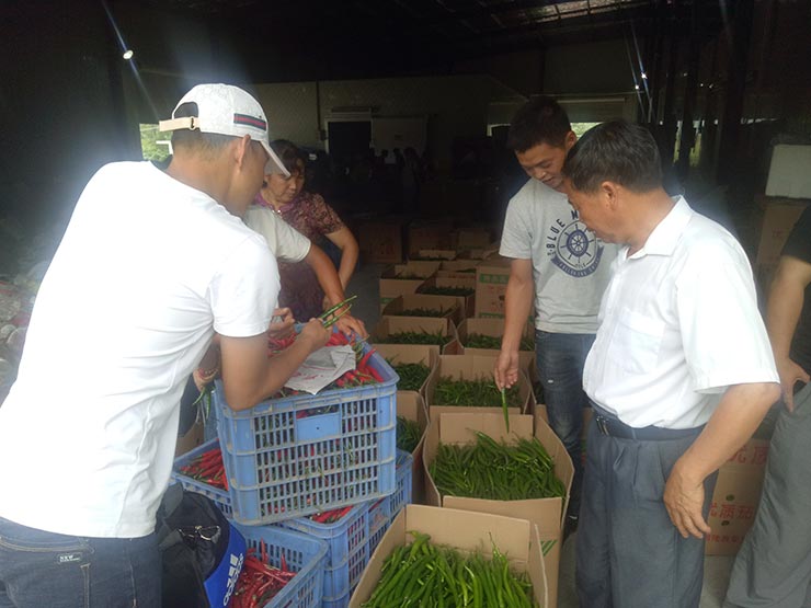 XPJ(中国大陆)有限公司官网