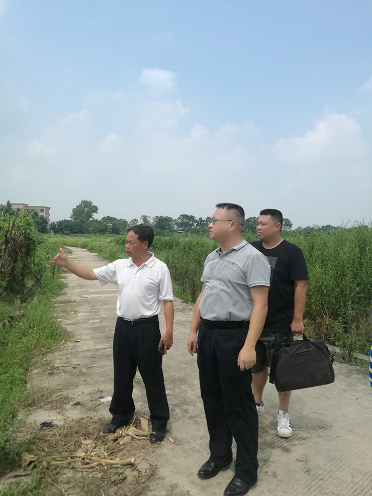 XPJ(中国大陆)有限公司官网