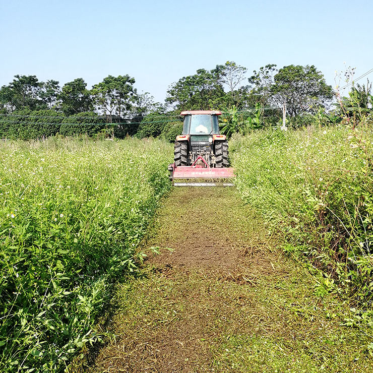 XPJ(中国大陆)有限公司官网