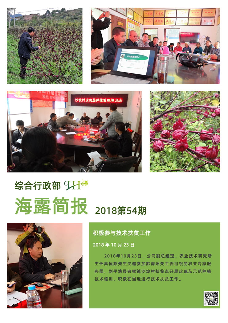 XPJ(中国大陆)有限公司官网