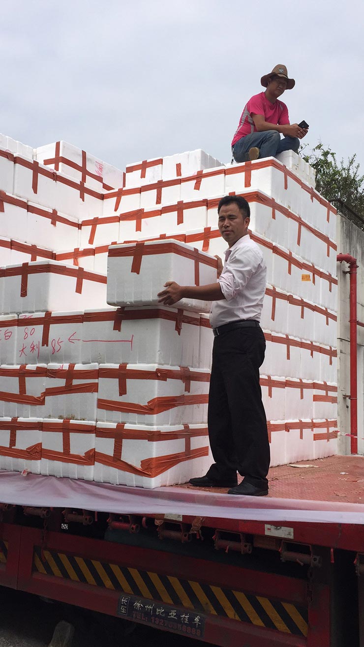 XPJ(中国大陆)有限公司官网