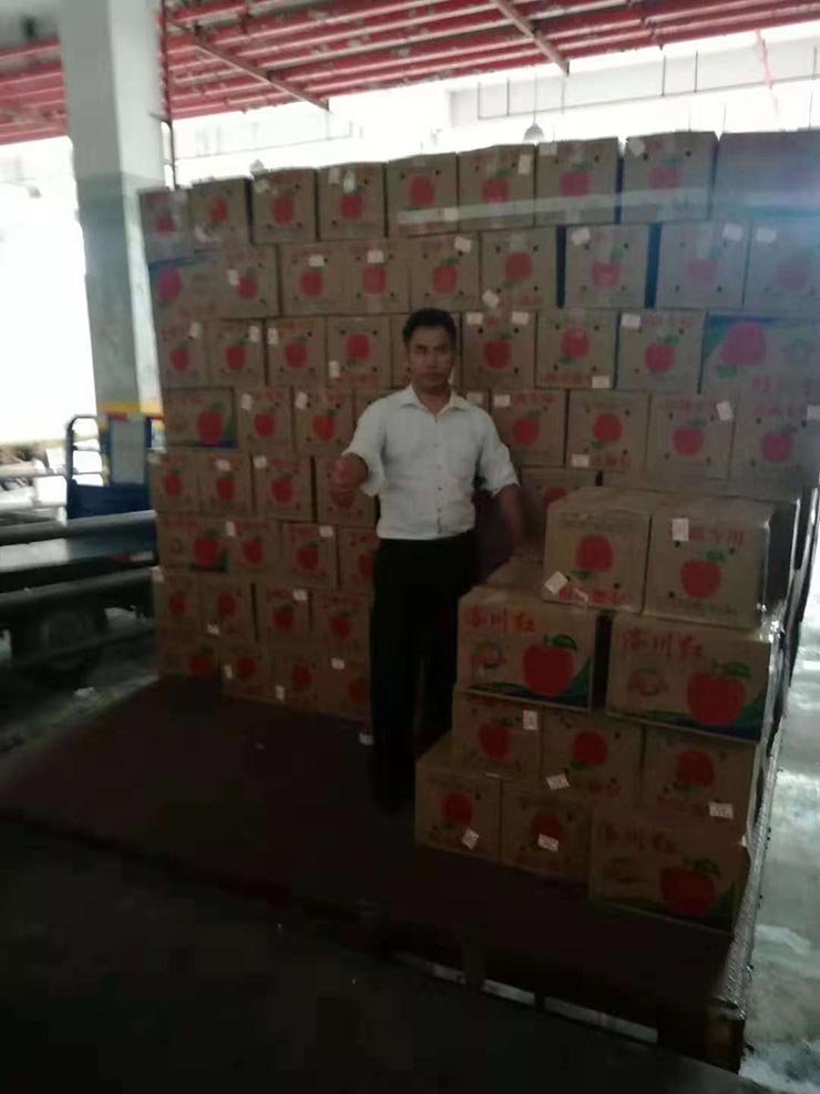 XPJ(中国大陆)有限公司官网