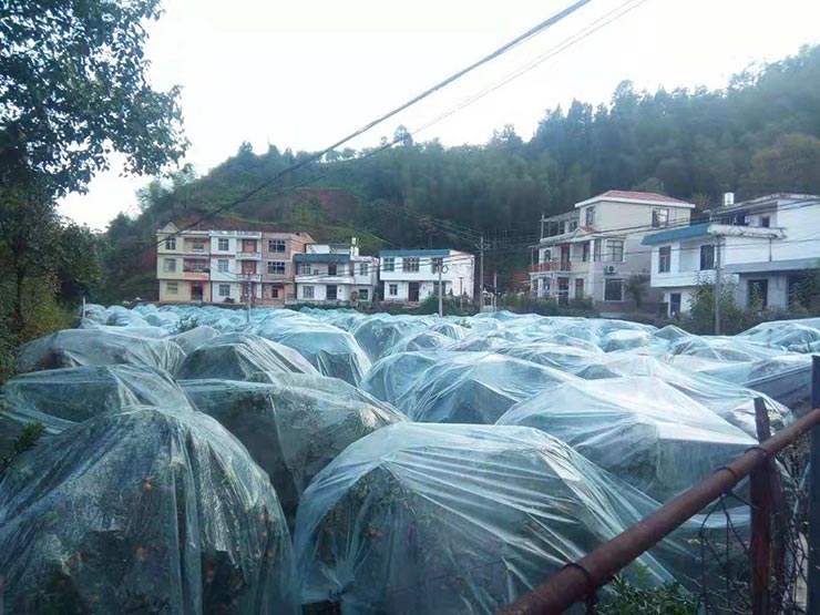 XPJ(中国大陆)有限公司官网