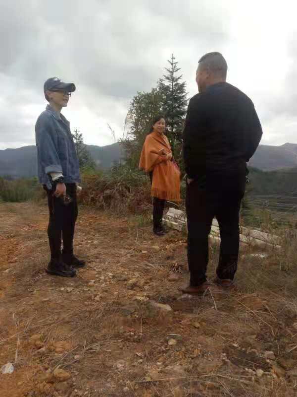 XPJ(中国大陆)有限公司官网