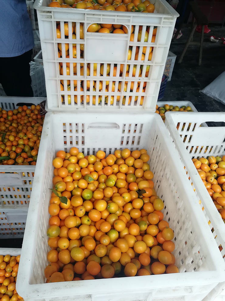 XPJ(中国大陆)有限公司官网