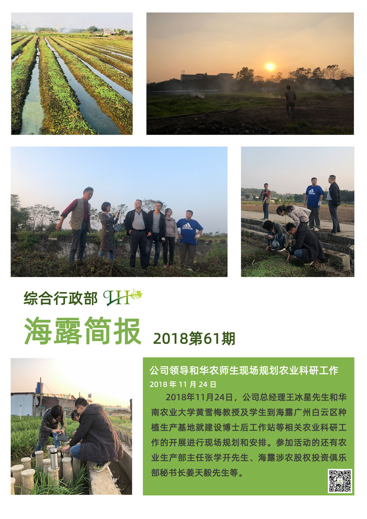 XPJ(中国大陆)有限公司官网