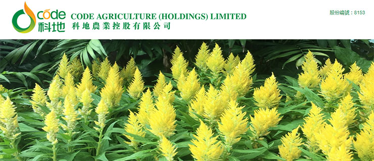 XPJ(中国大陆)有限公司官网