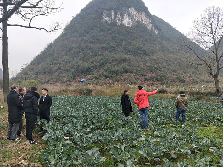 XPJ(中国大陆)有限公司官网