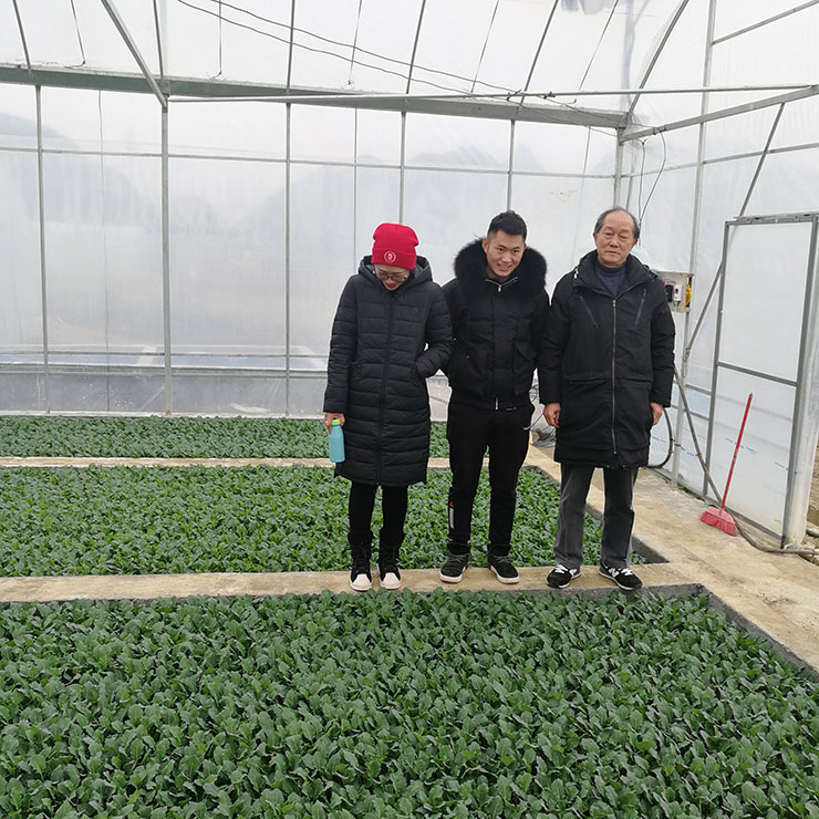 XPJ(中国大陆)有限公司官网