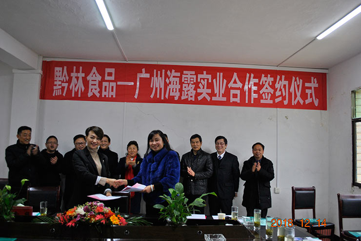 XPJ(中国大陆)有限公司官网