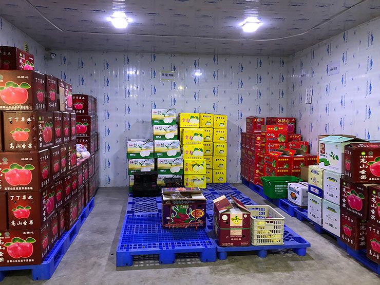 XPJ(中国大陆)有限公司官网