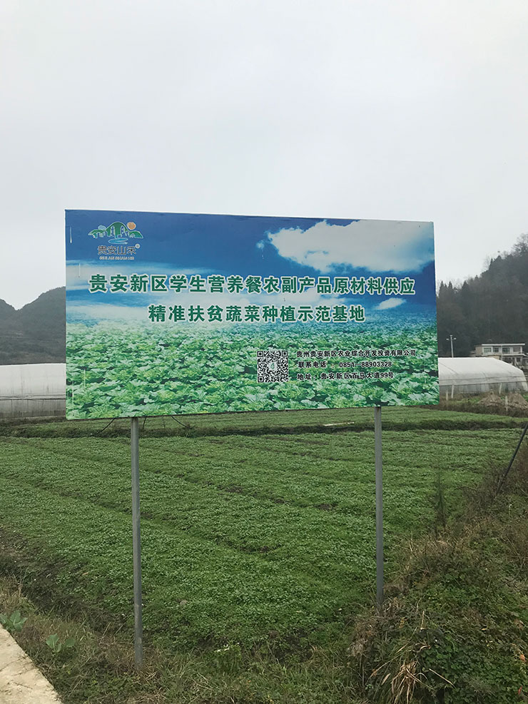 XPJ(中国大陆)有限公司官网