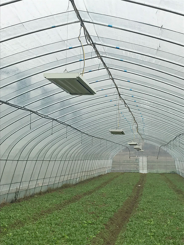 XPJ(中国大陆)有限公司官网