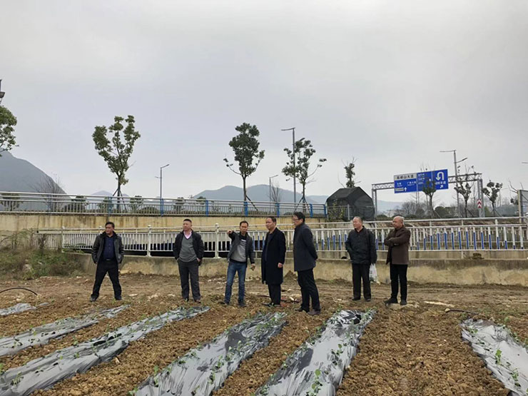 XPJ(中国大陆)有限公司官网