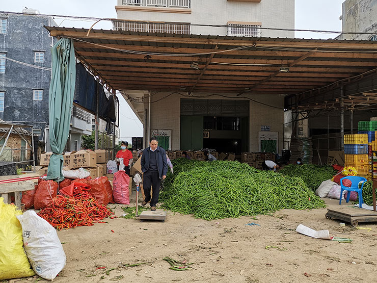 XPJ(中国大陆)有限公司官网