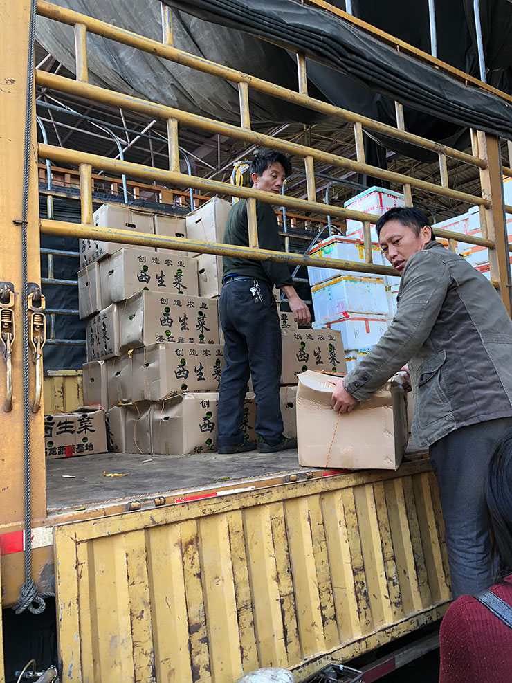 XPJ(中国大陆)有限公司官网