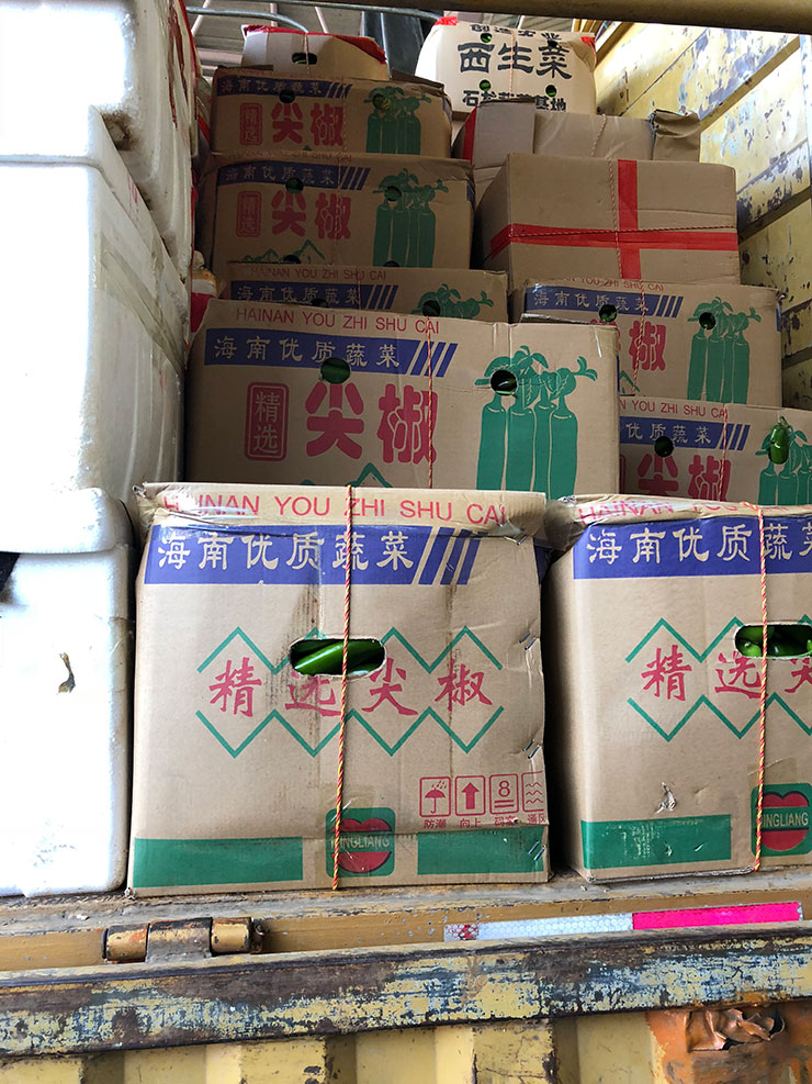 XPJ(中国大陆)有限公司官网