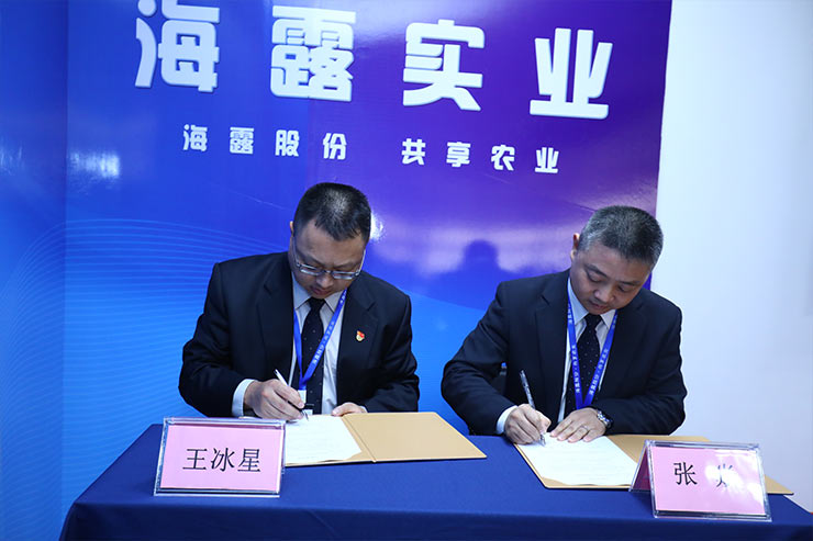 XPJ(中国大陆)有限公司官网