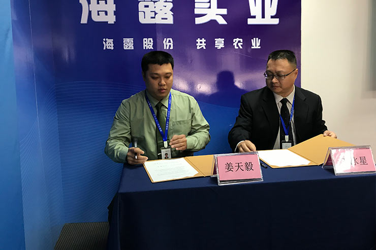 XPJ(中国大陆)有限公司官网