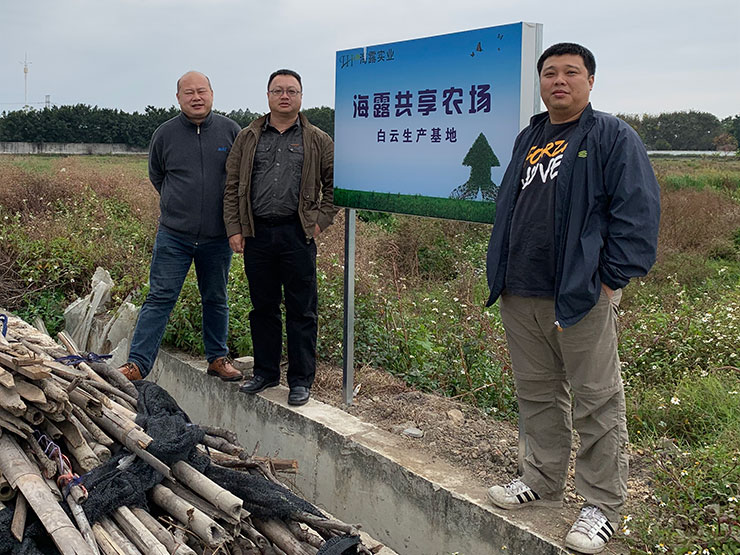 XPJ(中国大陆)有限公司官网