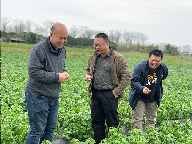 XPJ(中国大陆)有限公司官网