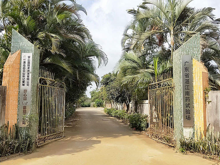 XPJ(中国大陆)有限公司官网