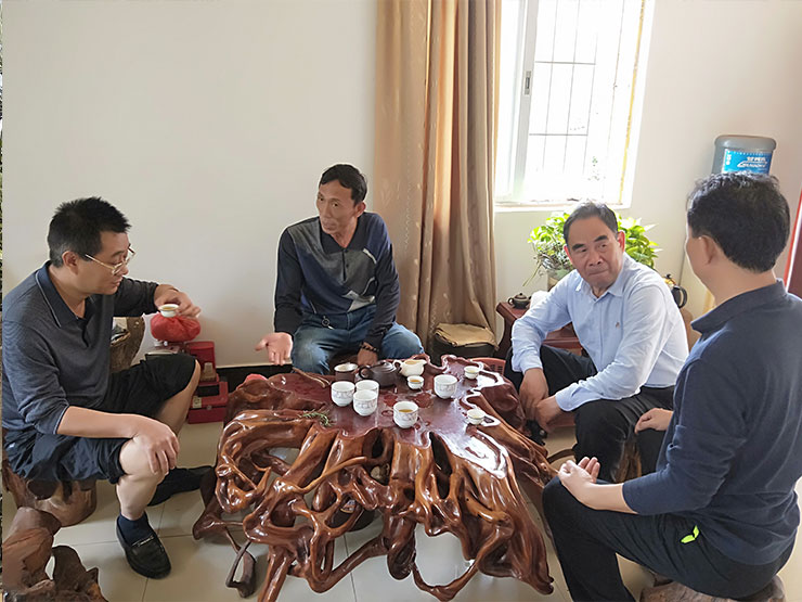 XPJ(中国大陆)有限公司官网