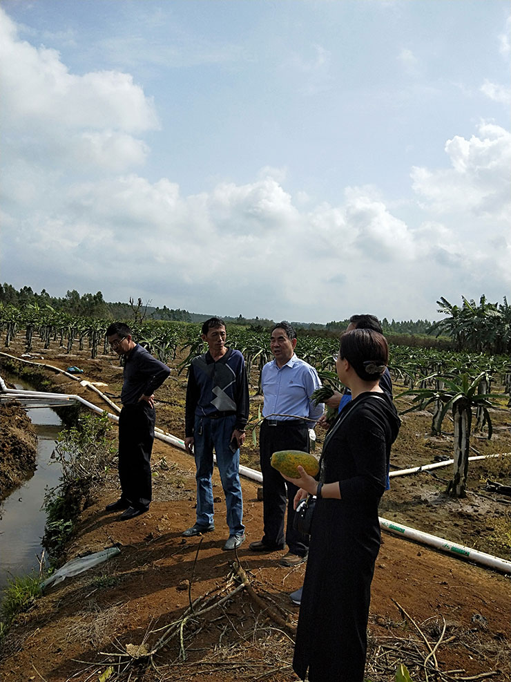 XPJ(中国大陆)有限公司官网