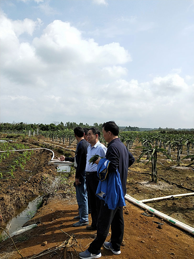 XPJ(中国大陆)有限公司官网