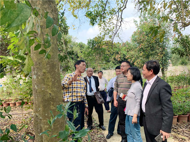 XPJ(中国大陆)有限公司官网