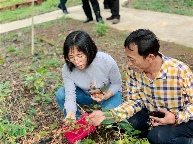 XPJ(中国大陆)有限公司官网