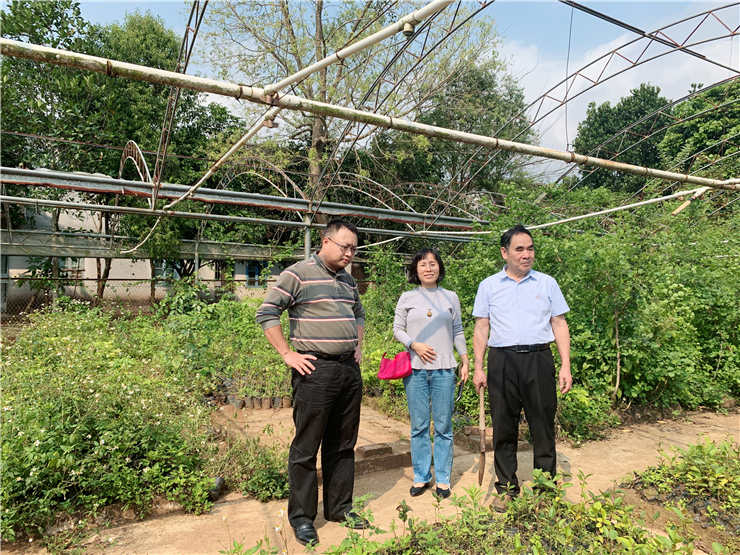 XPJ(中国大陆)有限公司官网