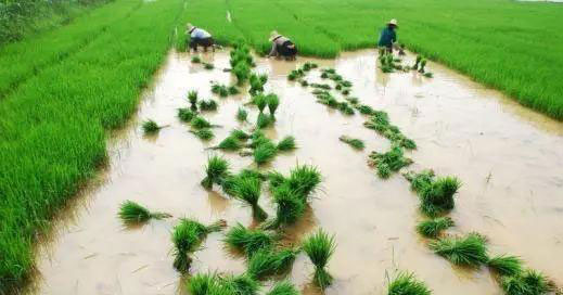 XPJ(中国大陆)有限公司官网