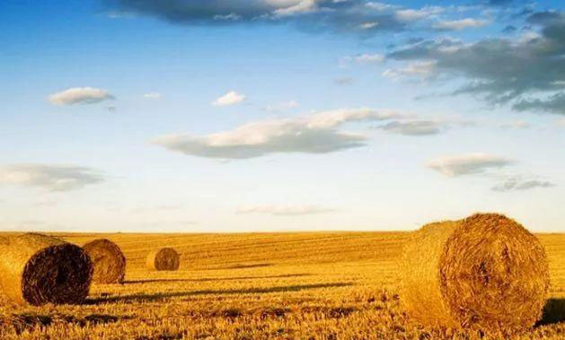 XPJ(中国大陆)有限公司官网