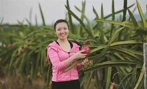 XPJ(中国大陆)有限公司官网