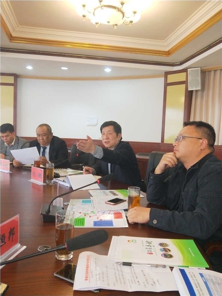 XPJ(中国大陆)有限公司官网