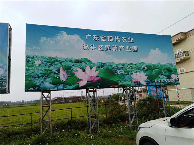 XPJ(中国大陆)有限公司官网