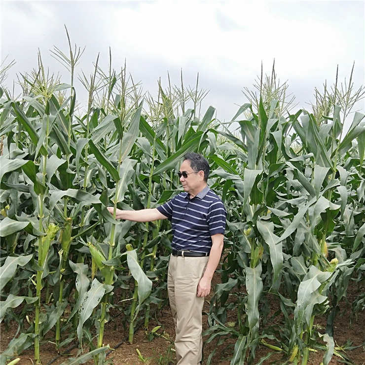 XPJ(中国大陆)有限公司官网