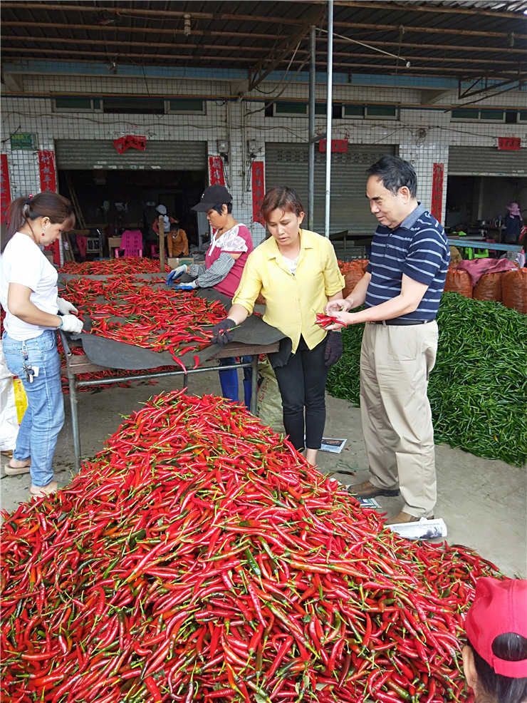 XPJ(中国大陆)有限公司官网