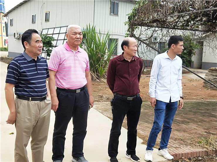 XPJ(中国大陆)有限公司官网