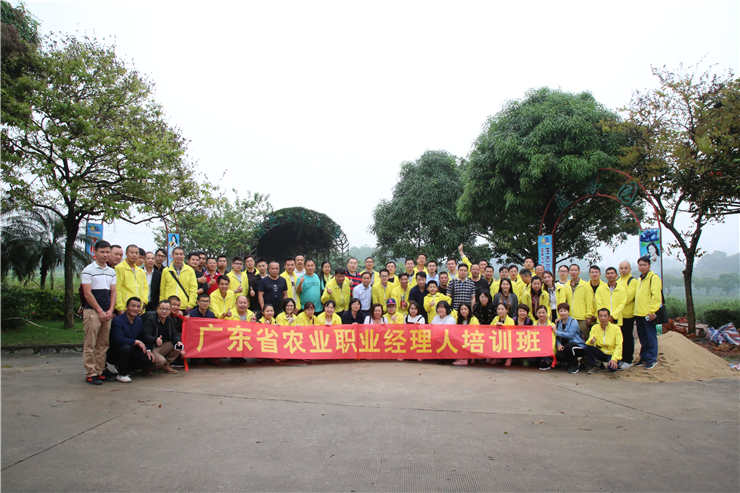 XPJ(中国大陆)有限公司官网