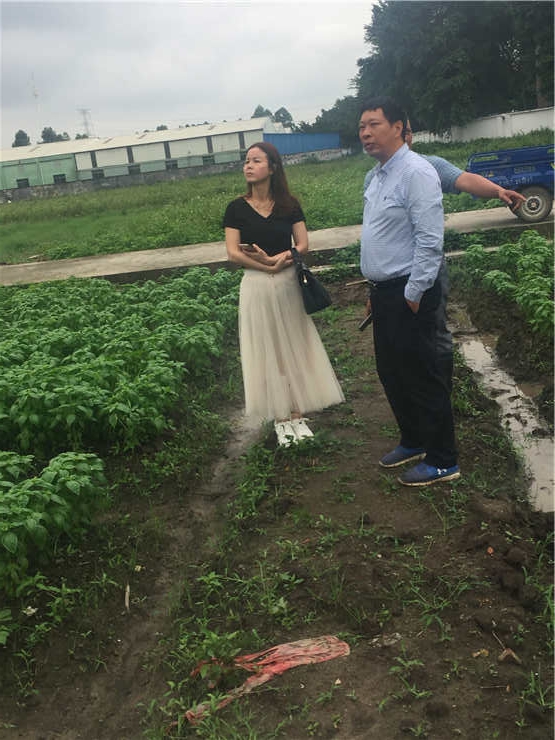 XPJ(中国大陆)有限公司官网