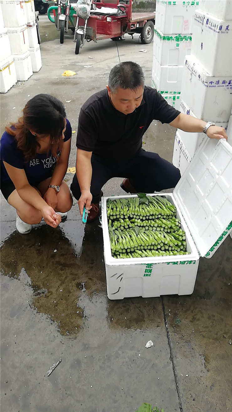 XPJ(中国大陆)有限公司官网