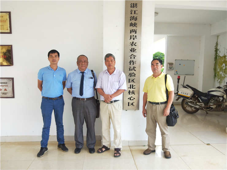 XPJ(中国大陆)有限公司官网